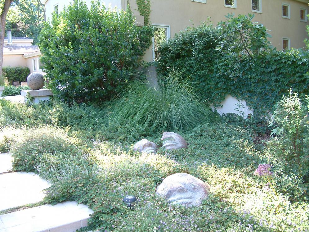 Ornamental Grass Garden4