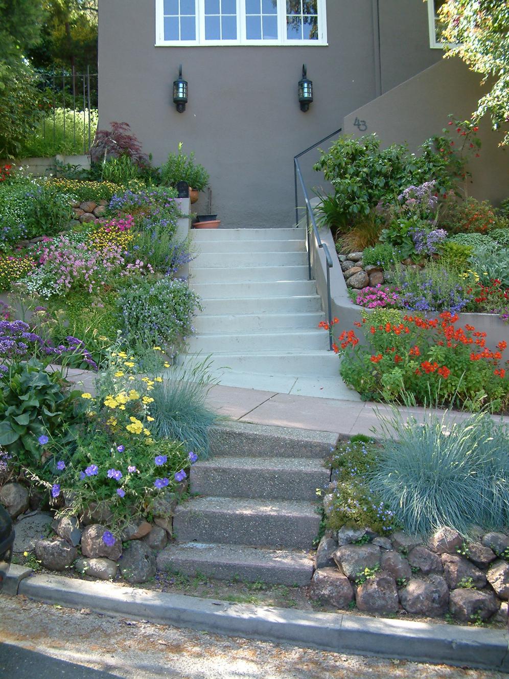 Colorful Hill Garden2