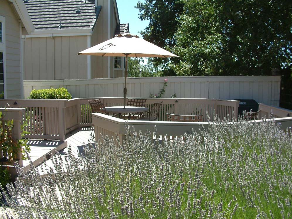 Patio Umbrella and Lavendar Explosion