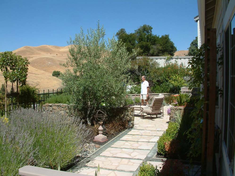 Walkway to the Patio