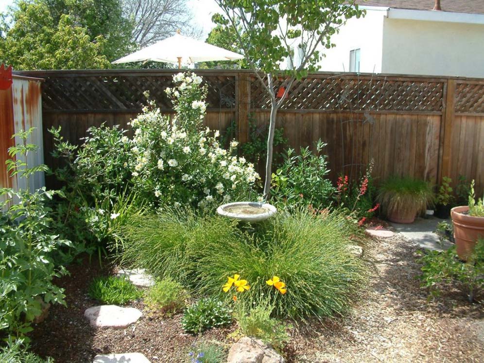 Birdbath Amongst the Shrubs