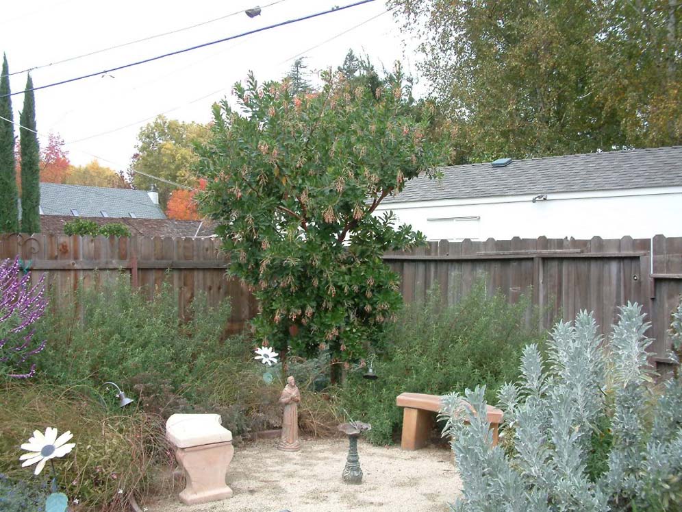 Decomposed Granite Sitting Area