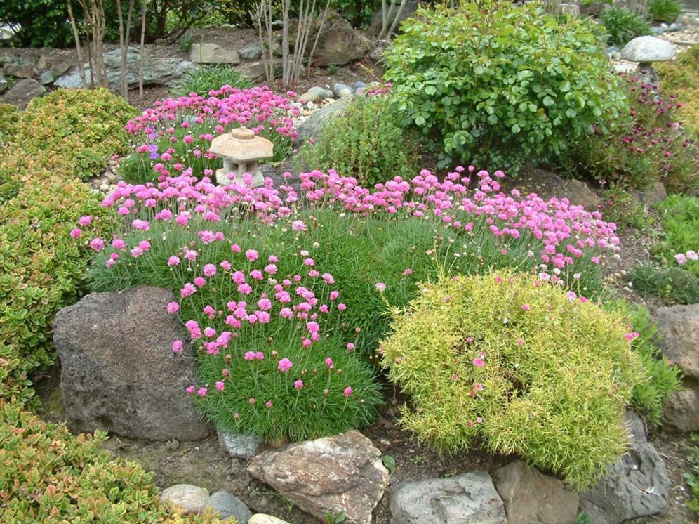 Sea of Pinks and Greens