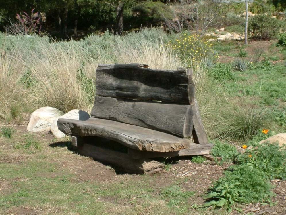 Rustic Bench