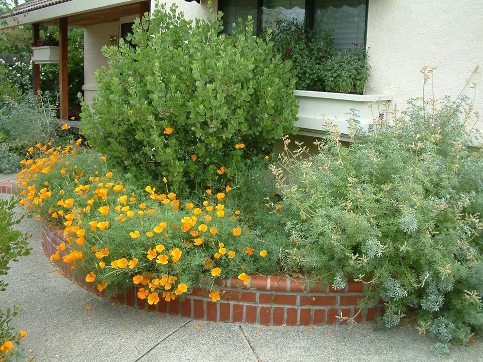 Native Raised Planter