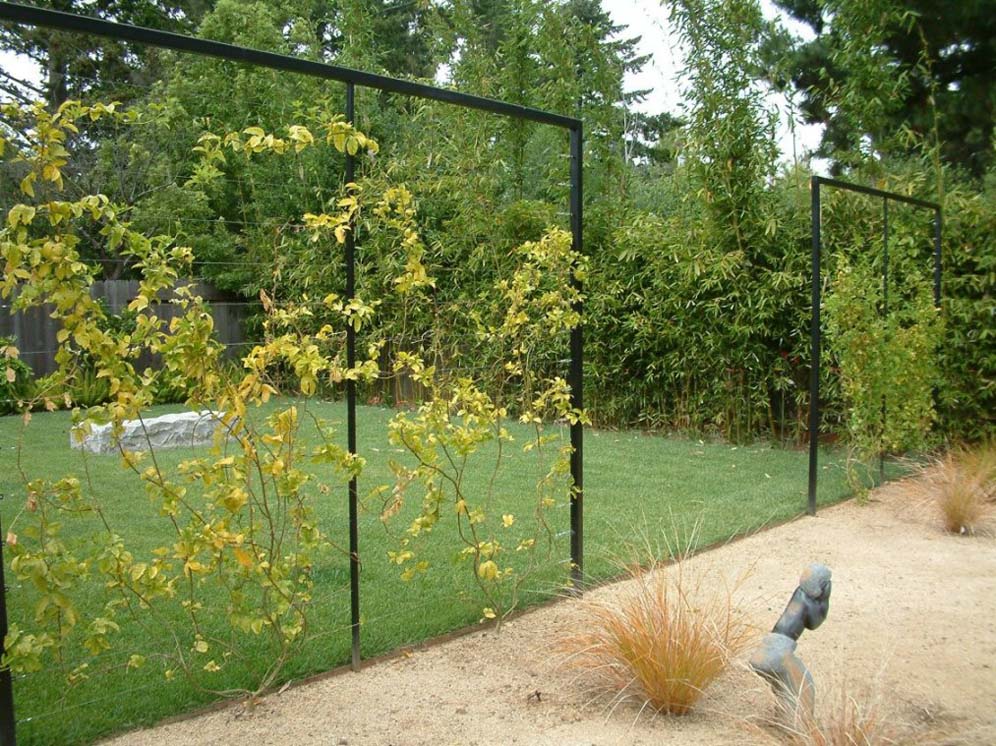 Vine-Covered Black Fencing