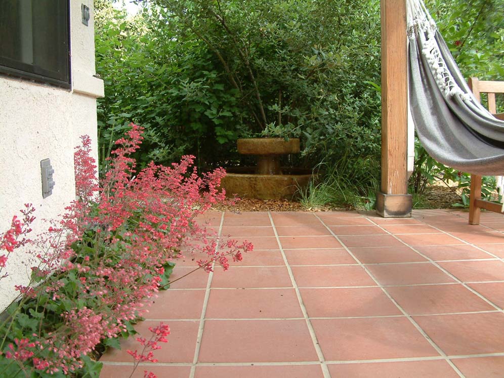 Heuchera on the Patio