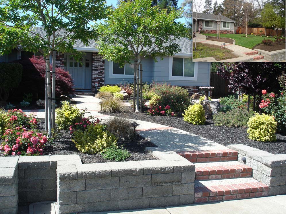 Raised Planter and Walk Conversion Garden