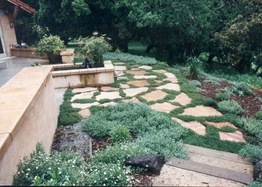 Flagstones and Ground cover