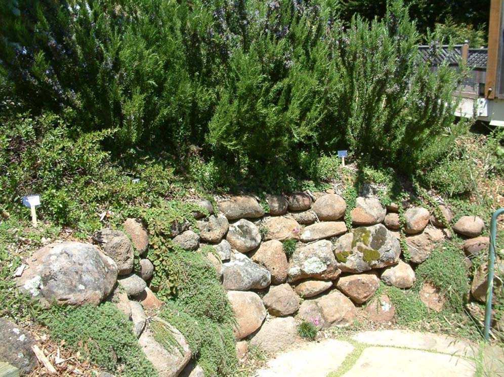 Stacked Rock and Rosemary