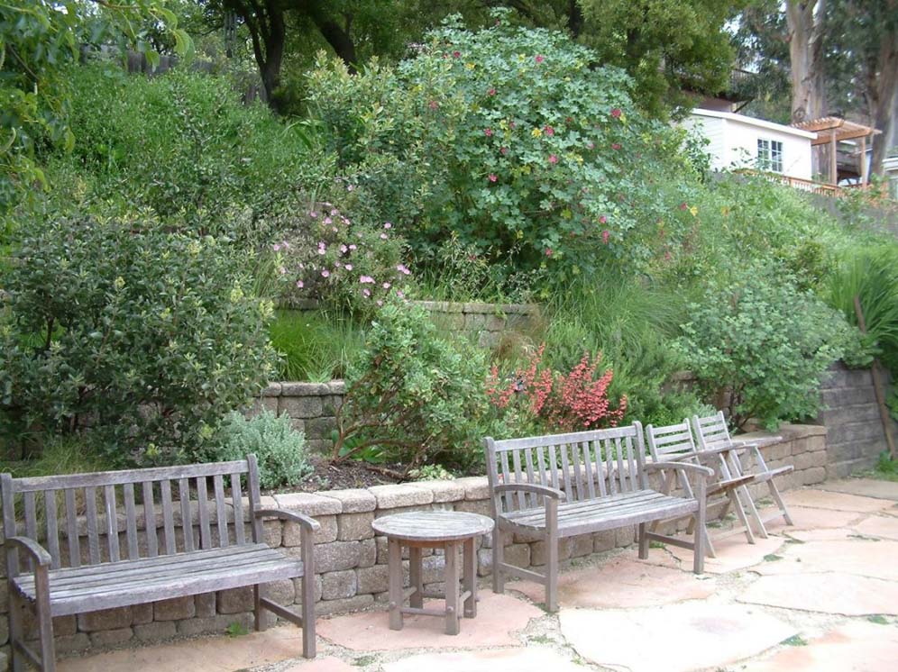 Smorgasbord of Perennials