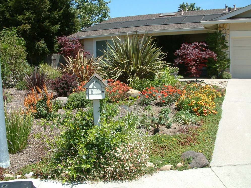 Mounds of Colorful Flowers