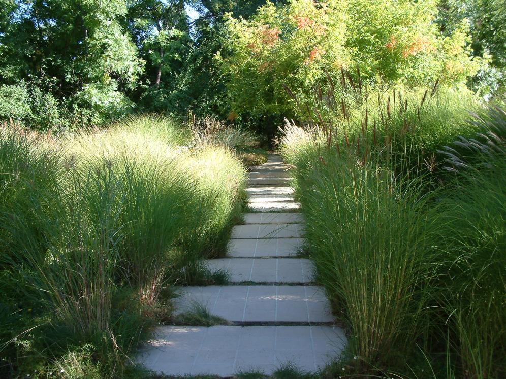 Ornamental Grass Garden9