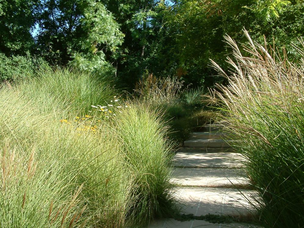 Ornamental Grass Garden10