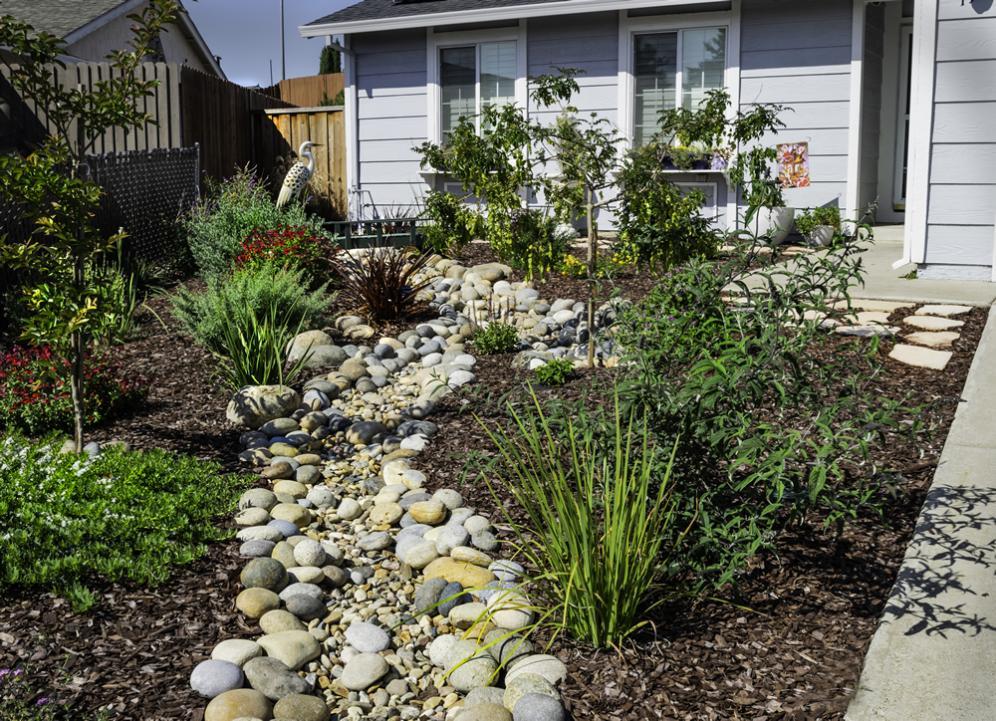 Narducci Dry Creek Bed