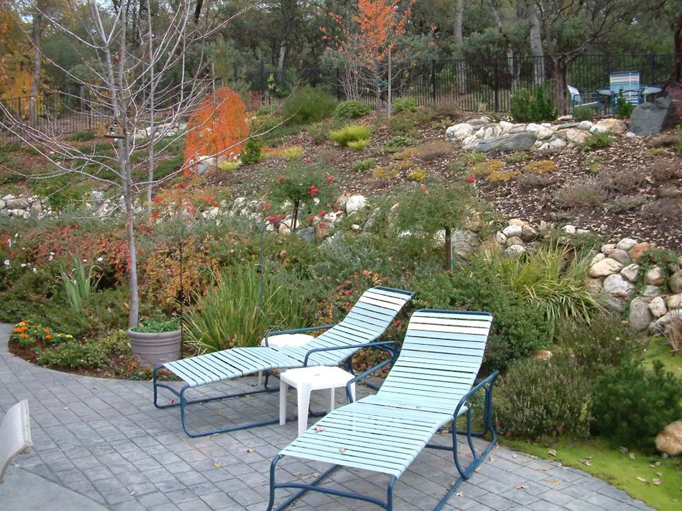 Back Patio and Chairs