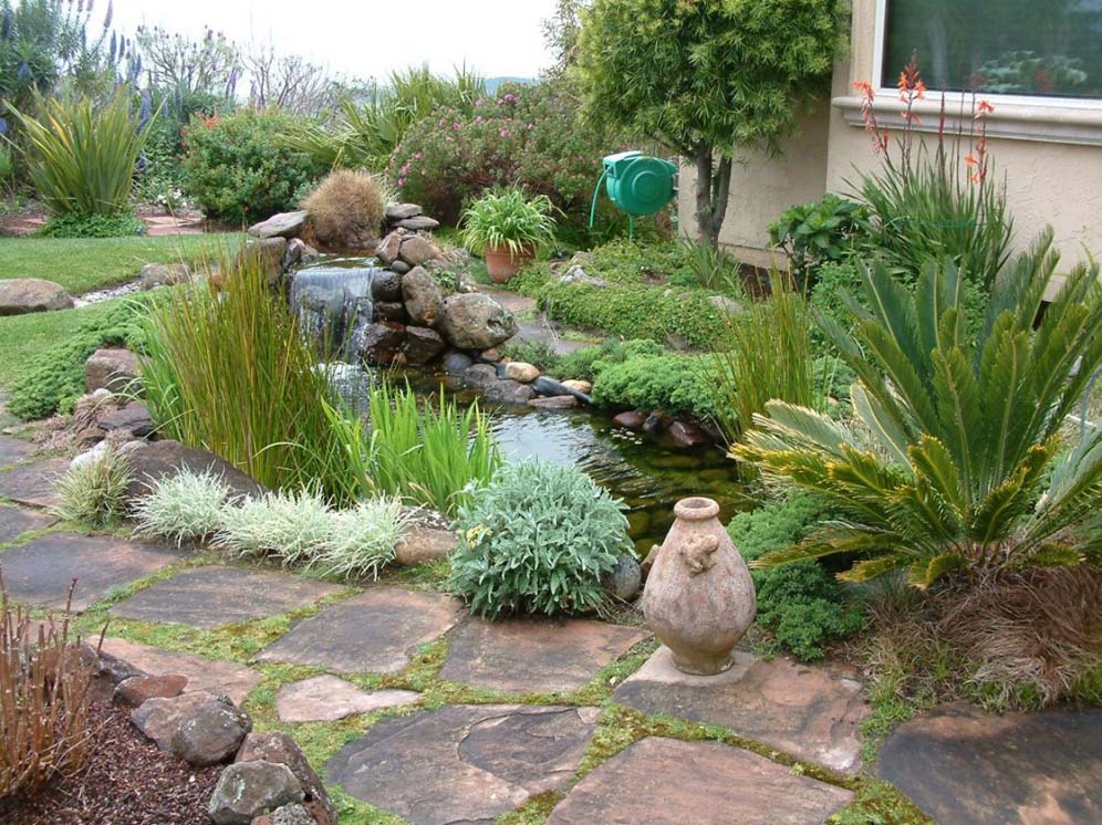 Waterfall and Pond