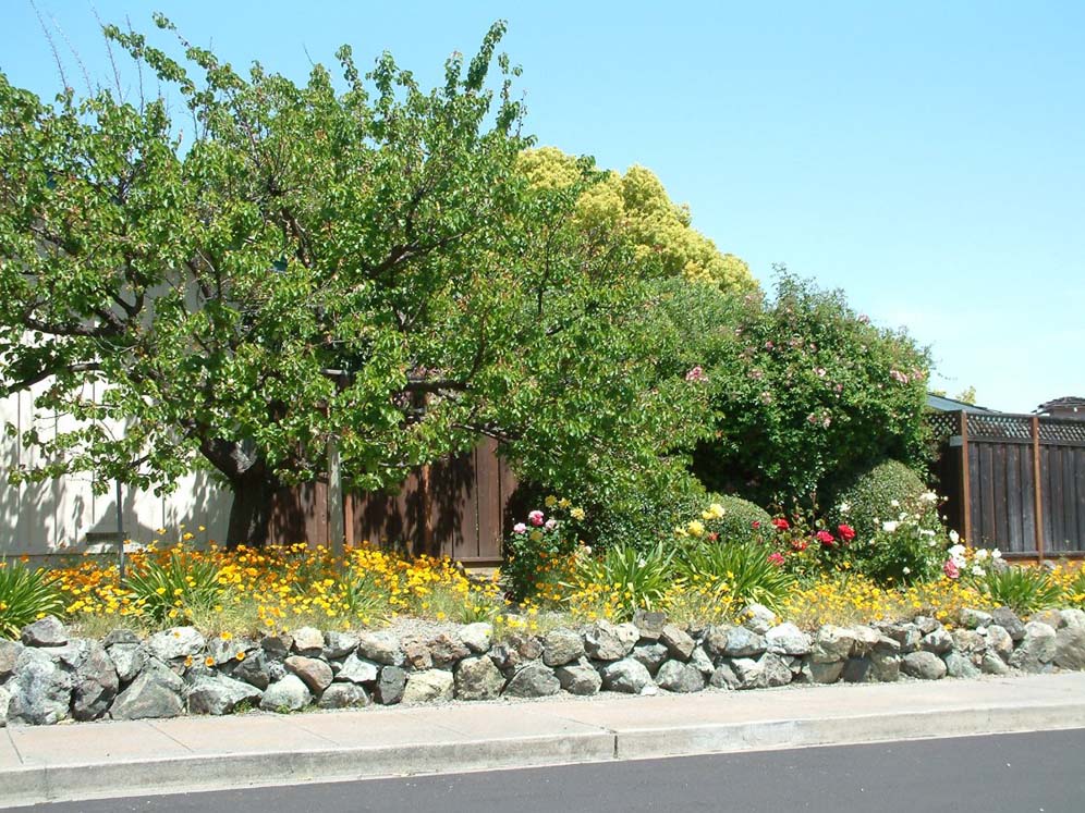 Stacked Rock Wall Near Street