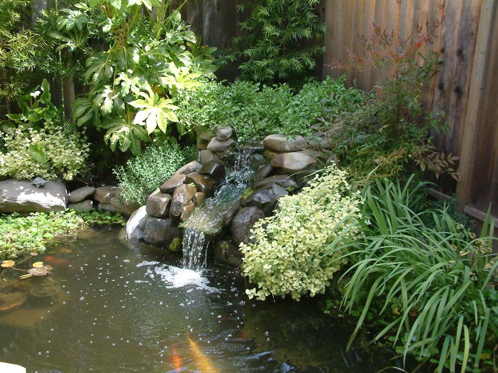 Fish Pond and Waterfall