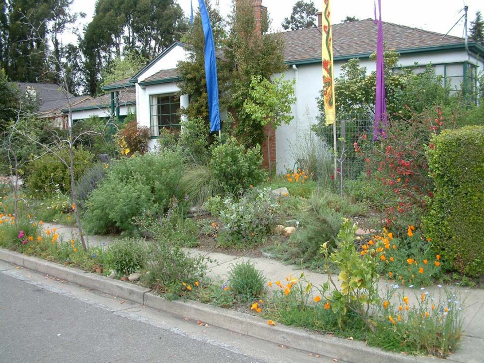 Flags in the Garden