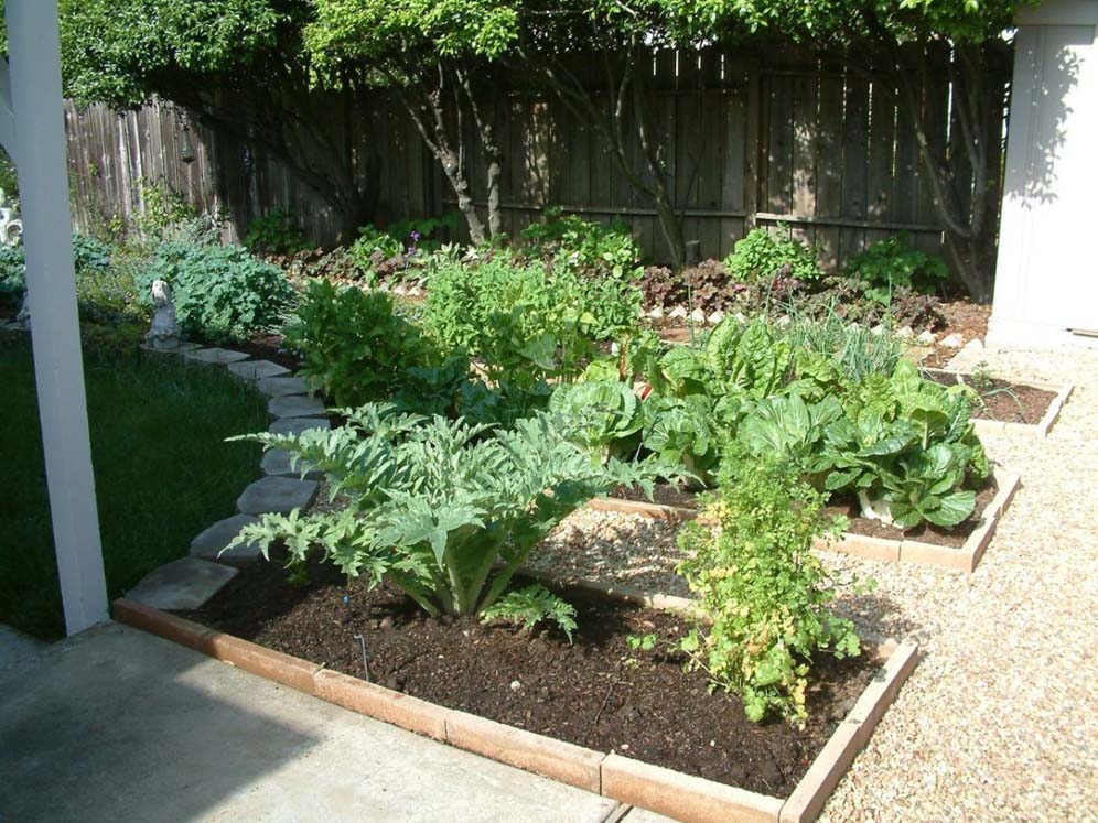 Vegetable Patch