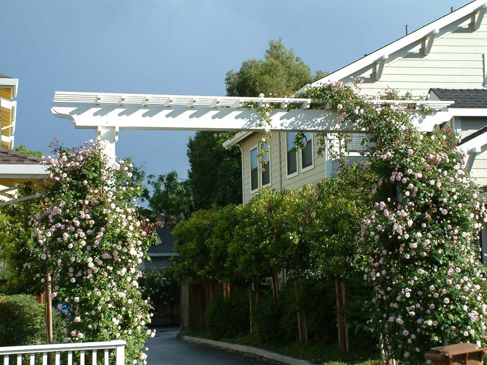 Trellis Garden