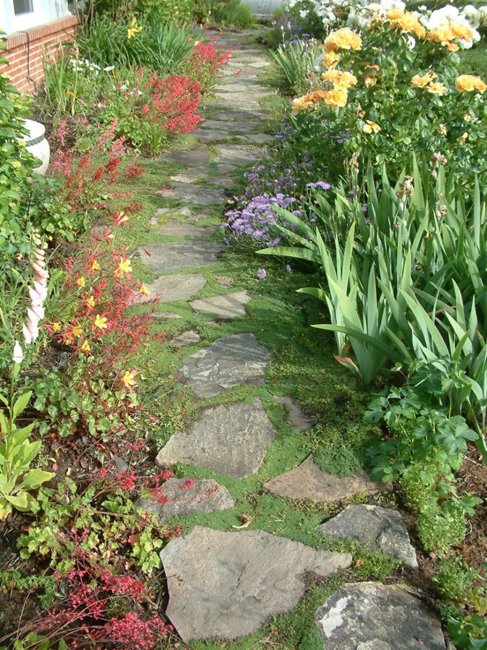 Narrow Path Flanked with Color