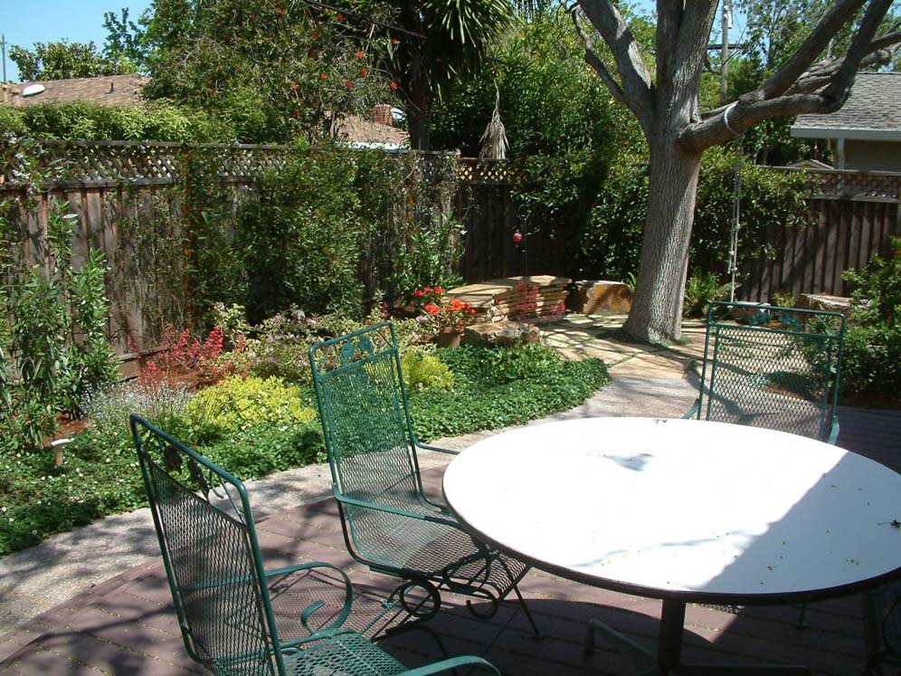 View of Garden from the Table