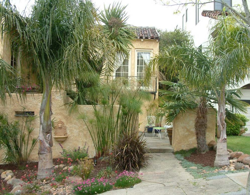 Mediterranean Garden